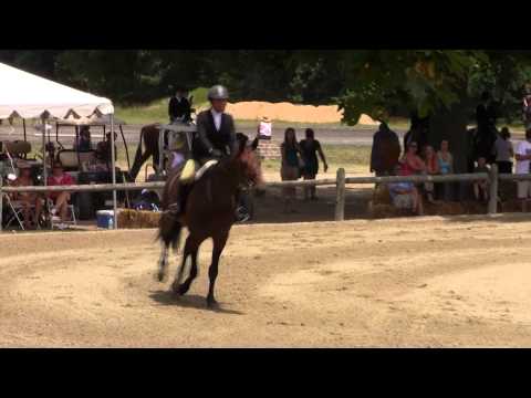 Leslie Summerville on Seleus, Vhsa Hunt Seat Medal