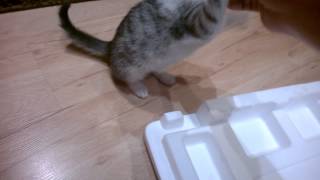 WP_20141103_20_31_57_Pro.mp4
