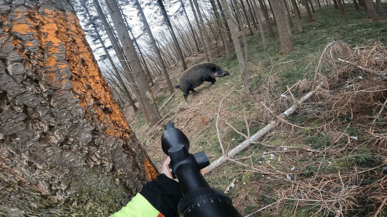 Drückjagden in Deutschland I DER FILM I Sauen, Rotwild, Muffel, Rehe und Füchse