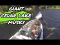 You wont believe where we found this massive musky