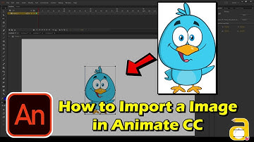 How to Import a Image in Adobe Animate CC | 3 Easy methods | Adobe Animate Tutorials for Beginners
