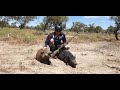 first outback pig hunt 2020