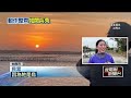 大自然奇景！ 台南北門潟湖黑腹燕鷗戲水　整齊宛如閱兵秀