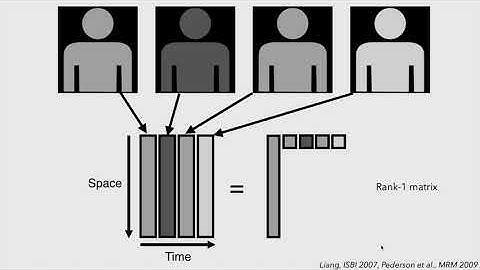ISMRM 2020 Tutorial: Low Rank Reconstruction Approaches