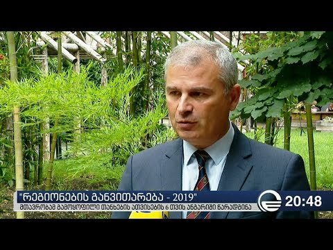 რეგიონების განვითარება   2019