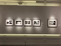 Curating Araki Nobuyoshi・荒木経惟のキュレーション