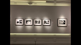Curating Araki Nobuyoshi・荒木経惟のキュレーション