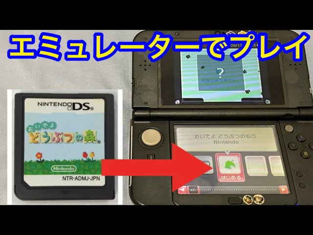 3ds ds ソフト