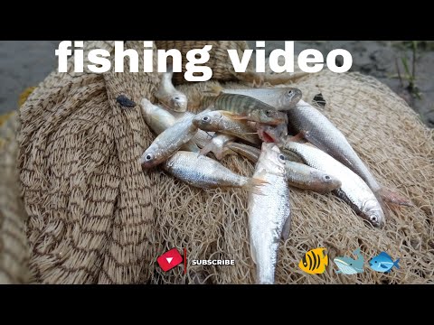 Unbelievable Cast Net Fishing Videos I Catching Lot of fish by cast net | Net fishing videos(part-3)