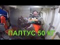 ПАЛТУС 50 КГ   ОТЛИЧНЫЙ УЛОВ   HALIBUT ПРИКОЛЫ НА РЫБАЛКЕ