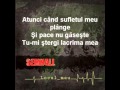 Semnall - Tu (with lyrics)