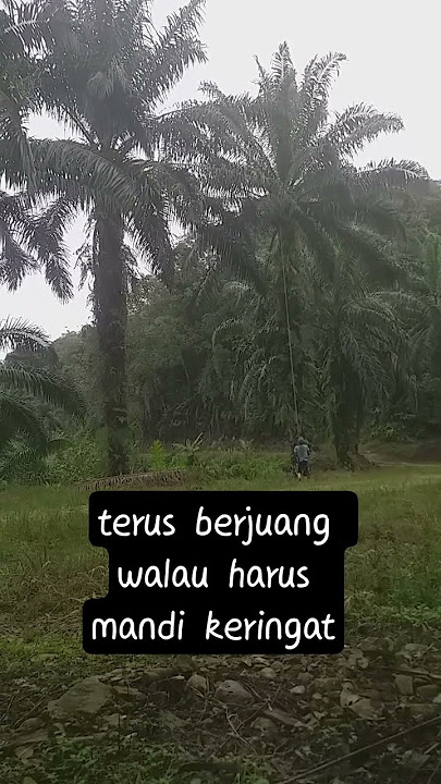 pejuang rm #reels #reel #reelsvideo #anding #andingamen
