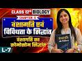वंशागति का क्रोमोसोम सिद्धांत | वंशागति एवं विविधता के सिद्धांत | Class 12 Biology | अध्याय-5 |l-7