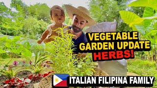 ADDING THIS HERBS TO OUR VEGETABLE GARDEN ITALIAN FILIPINA FAMILY IN THE PHILIPPINES