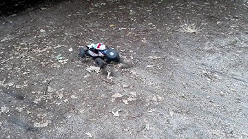 Vaterra Twin Hammers, Brushless 3100kv on 3s 2200mah.