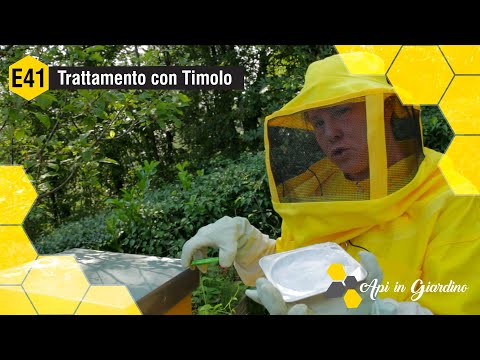 AiG E41 - Trattamento con Timolo