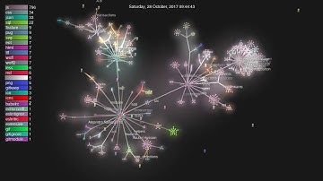 Lisk - git development visualization - February 2019
