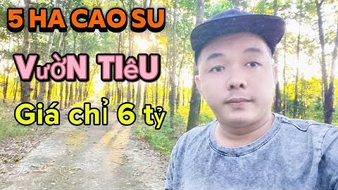 🔥 Bán 5ha Cao Su & Tiêu Lộc An – 32m Bê Tông, Có Nhà Sẵn – Giá Chỉ 6 Tỷ! Quá Rẻ Ạ 🔥❤️