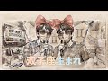 美川憲一 双子座生まれ【うたスキ動画】
