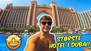 Bor på det STØRSTE og VILDESTE HOTEL i DUBAI! (Atlantis The Palm)