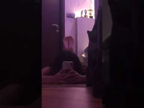 Hottest Bugs Bunny New TikTok Challenge #bugsbunnychallenge #bugsbunny #short p6 YYwvr5Fe26M