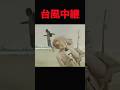 海外の写りたがりドキュンのレベルが高すぎる #shorts