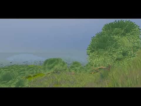 Loading video