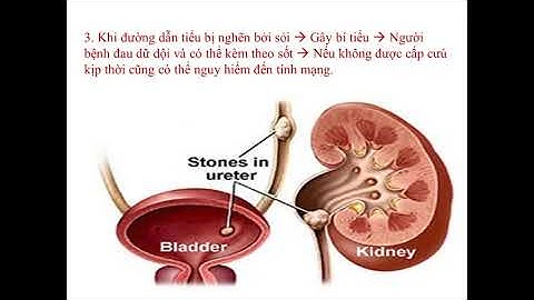 Vệ sinh hệ bài tiết nước tiểu. Sinh học 8
