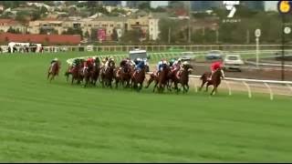 Download lagu 2009 Melbourne Cup - Shocking
