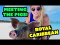 Swimming with the pigs at cococay in the bahamas