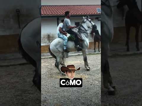 Aprendiendo Andar En
