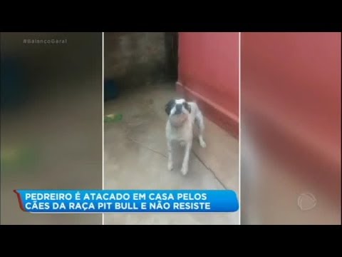 Vídeo: Morre Após Ser Atacado Por Seus Cães