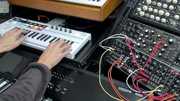 Modular Synthesizer Christmas (DistingEx, Instruo, Erica Synths Black)