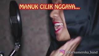 Manuk cilik nggaya