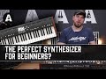 10 Reasons Why the Behringer DeepMind 12 is the Perfect First Synth!