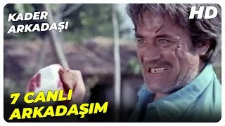 Kader Arkadaşı - Hasan ve Yusuf Koğuş Hikayesi! | Cüneyt Arkın Eski Türk Filmi
