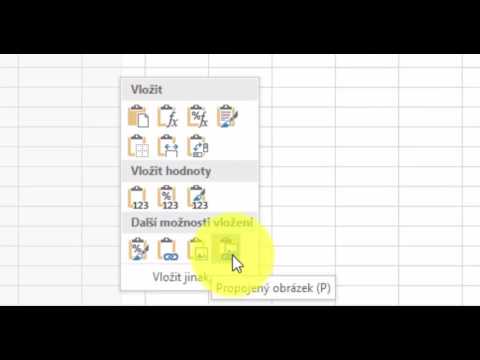 Video: Jak Vložit Fotografii Do Aplikace Excel