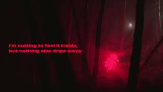 IGNŌMALA — IF THE SPIRITS COME OVER (Official Lyric Video)
