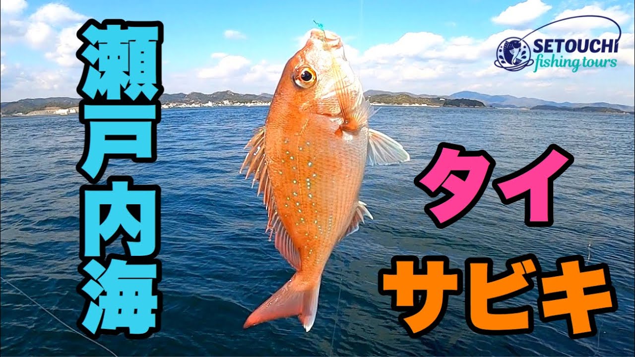 鯛サビキ In 岡山県宇野港発 瀬戸内海 Youtube