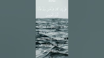 سورة الزخرف من الأية 78 الى 82 محمد أيوب