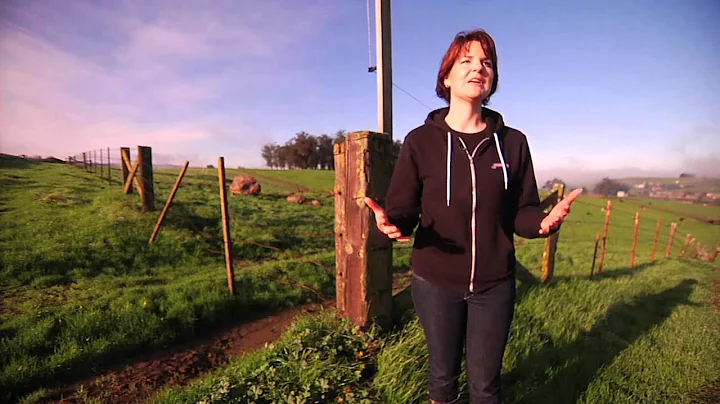 Stand up for UC: Jana McClelland