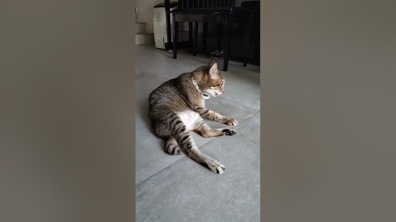 he-just-come-back-home-youtube