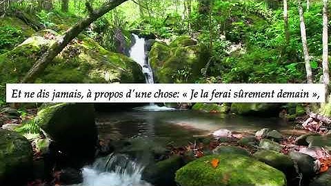 Sourate Al- kahf (la caverne) traduction en Français  سورة الكهف كاملة