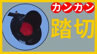踏切 カンカン 特集【JR草津線 針踏切 #2 フィルム風】Railroad Crossing in Japan