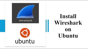 How to Install Wireshark on Ubuntu Linux(Step-by-Step Guide)?
