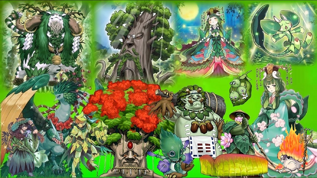 YuGiOh! LOTD Link Evolution - Sylvan Gameplay