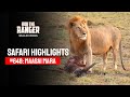 Safari Highlights #648: 10 & 11 January 2022 | Maasai Mara/Zebra Plains | Latest Wildlife Sightings