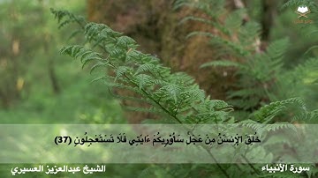 سورة الأنبياء كاملة بصوت الشيخ عبدالعزيز العسيري من المصحف المرتل