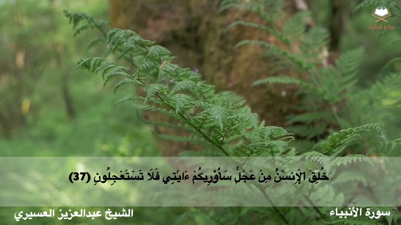 سورة الأنبياء كاملة بصوت الشيخ عبدالعزيز العسيري من المصحف المرتل