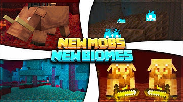 3 New Nether Biomes! Hoglins + More! Explained! - Minecraft 1.16 Nether Update